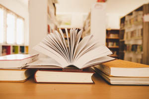 An image for Winterslow Parish Council website