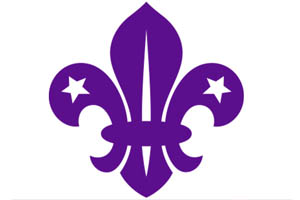 An image for Winterslow Parish Council website showing the Scouts logo