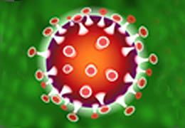 An image for Winterslow Parish Council website showing a microbe